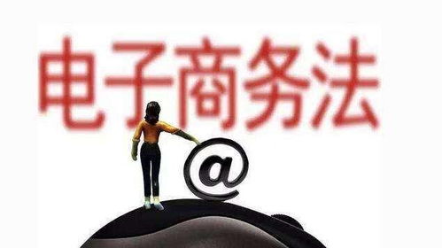 咸魚賣家 從個人閑置到電子商務(wù)經(jīng)營者的身份轉(zhuǎn)變